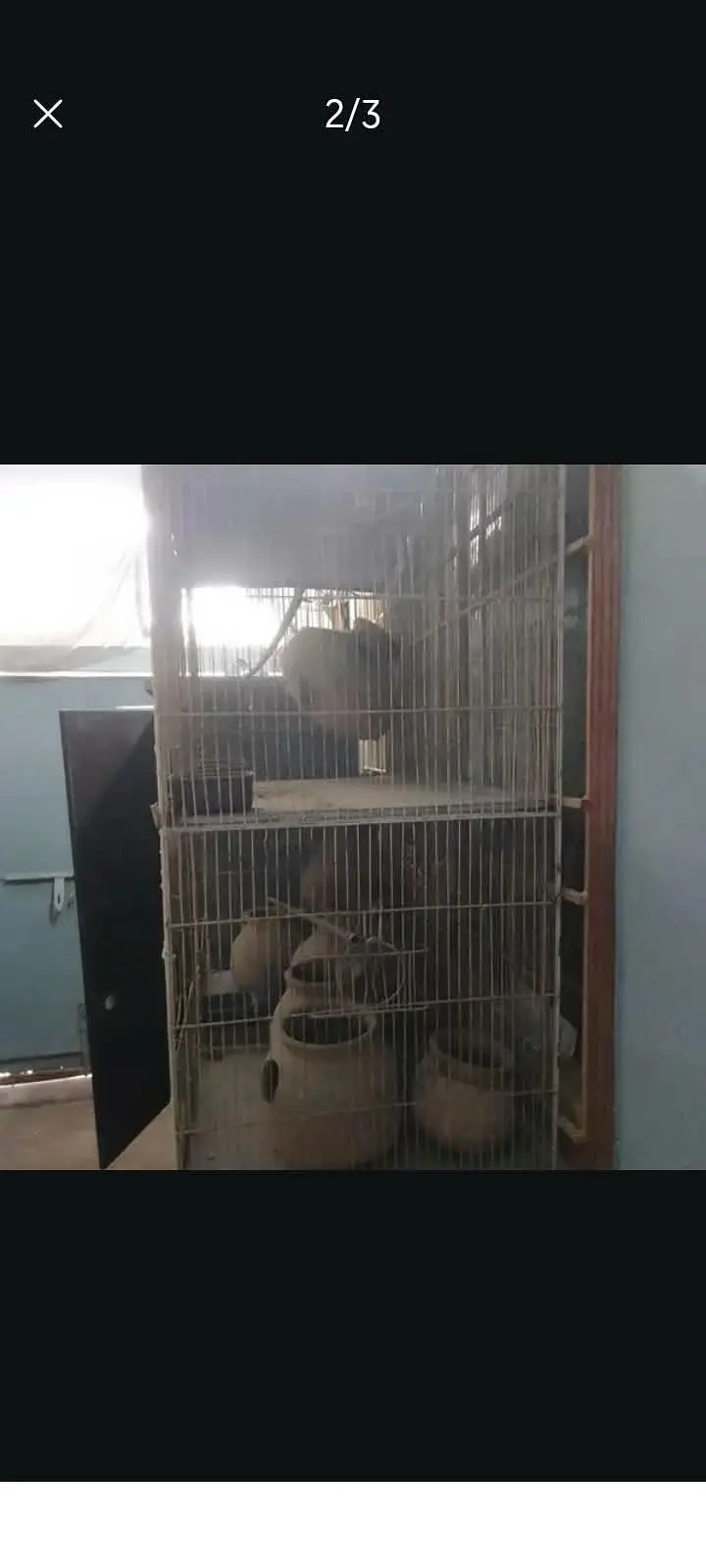 parrot cage pinjra — photo 2