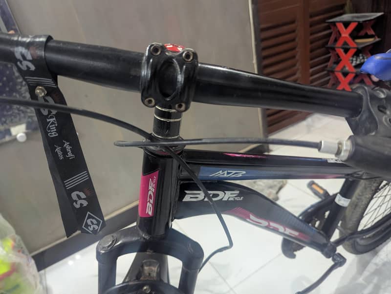 BDF bicycle 2