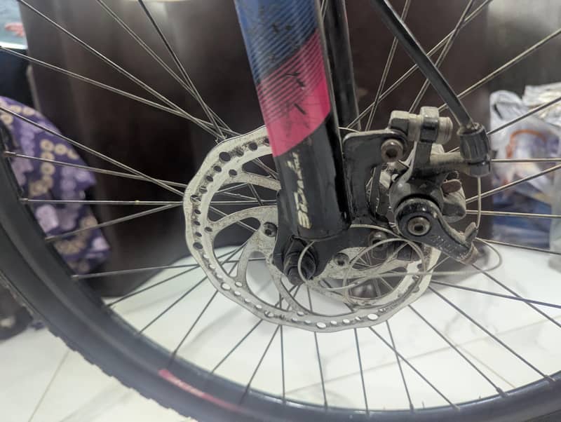 BDF bicycle 5