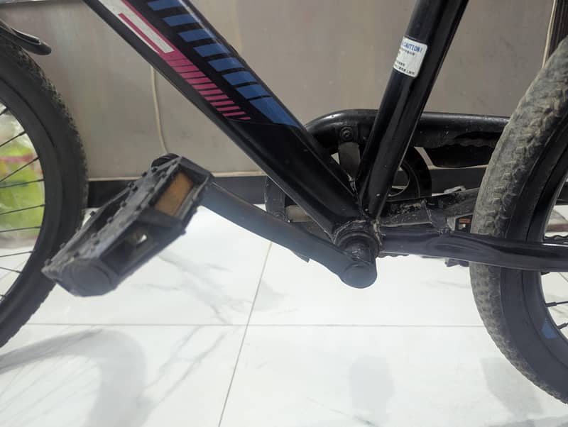 BDF bicycle 6