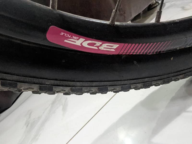 BDF bicycle 7