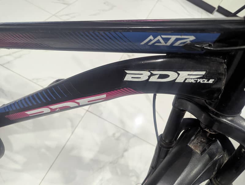 BDF bicycle 8