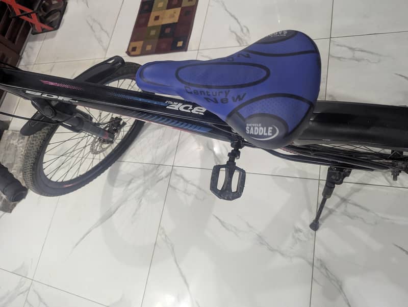 BDF bicycle 11