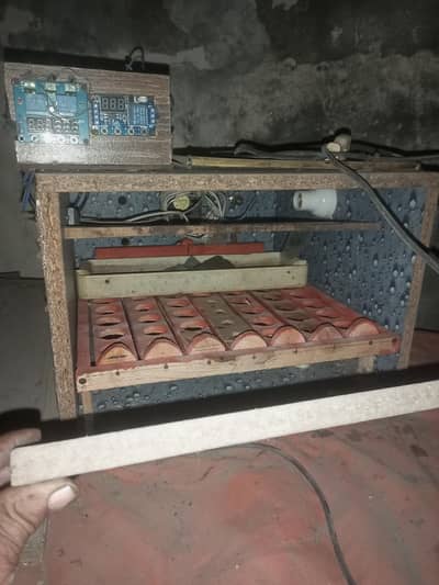 12 volt solar incubator automatic