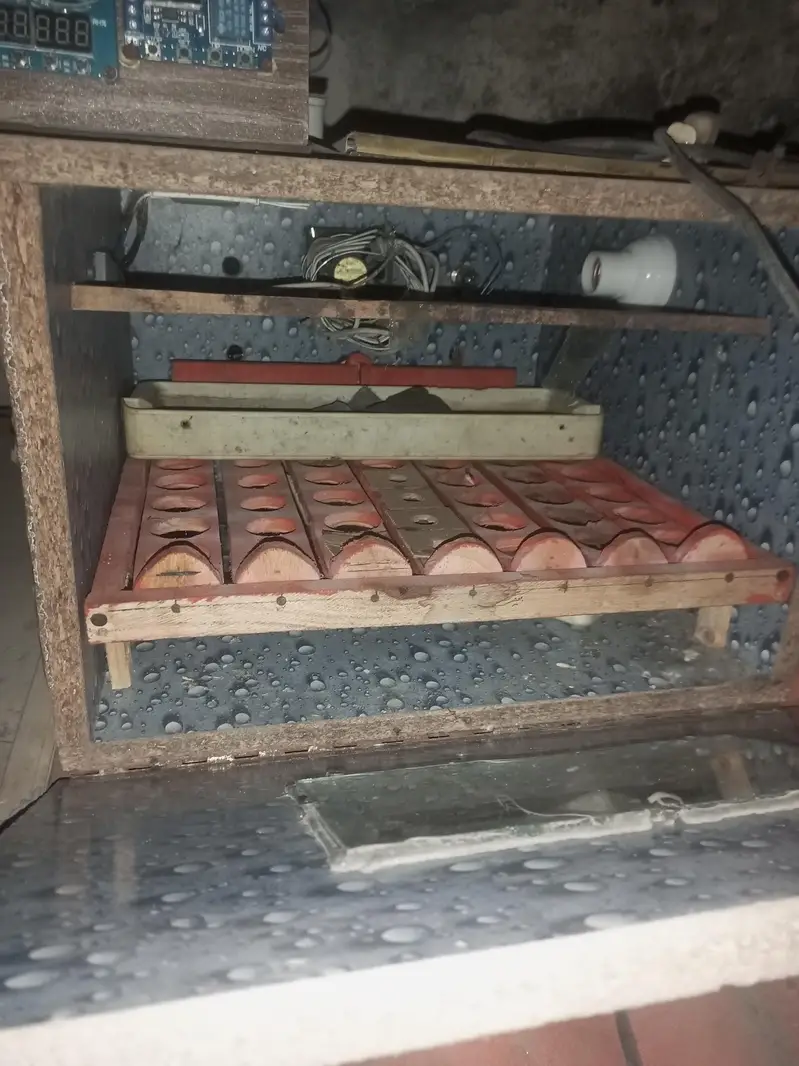 12 volt solar incubator automatic — photo 3