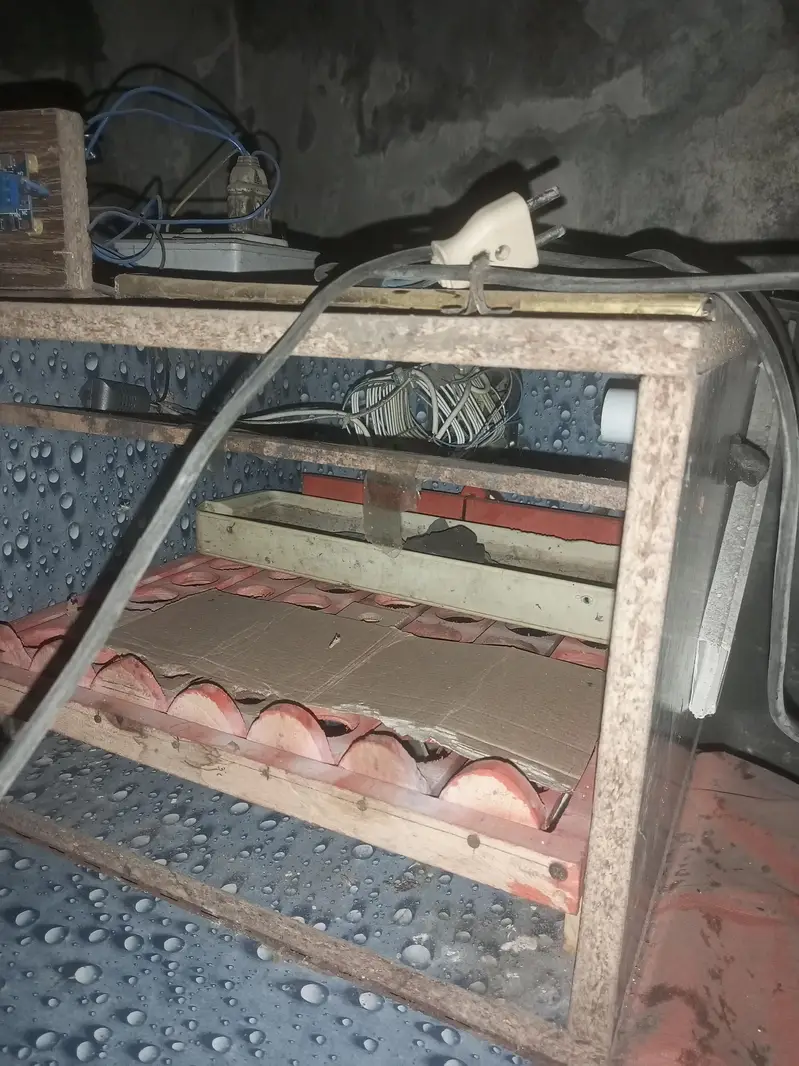 12 volt solar incubator automatic — photo 4