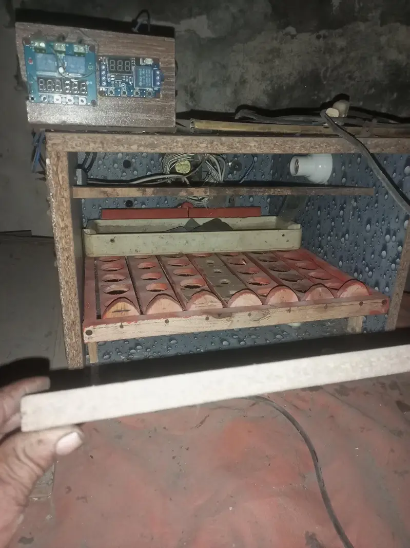 12 volt solar incubator automatic — photo 6