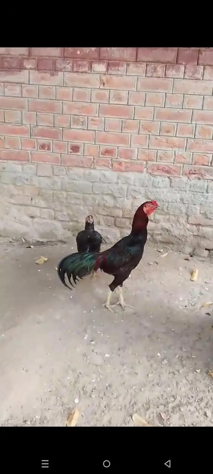 mashallah cheez apka samna han — photo 2