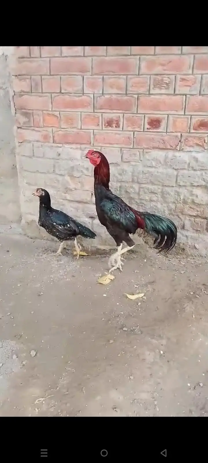 mashallah cheez apka samna han — photo 3