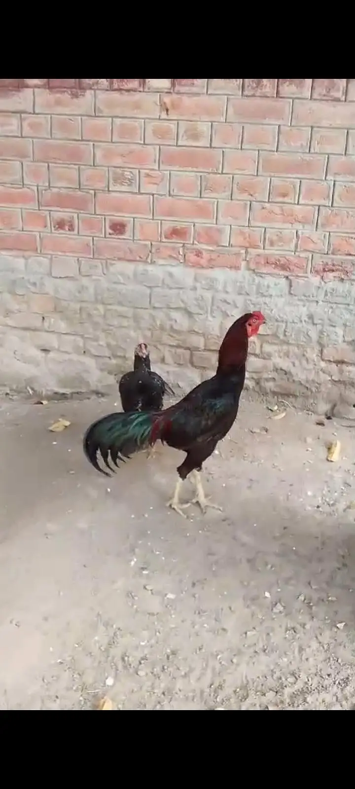 mashallah cheez apka samna han — photo 4