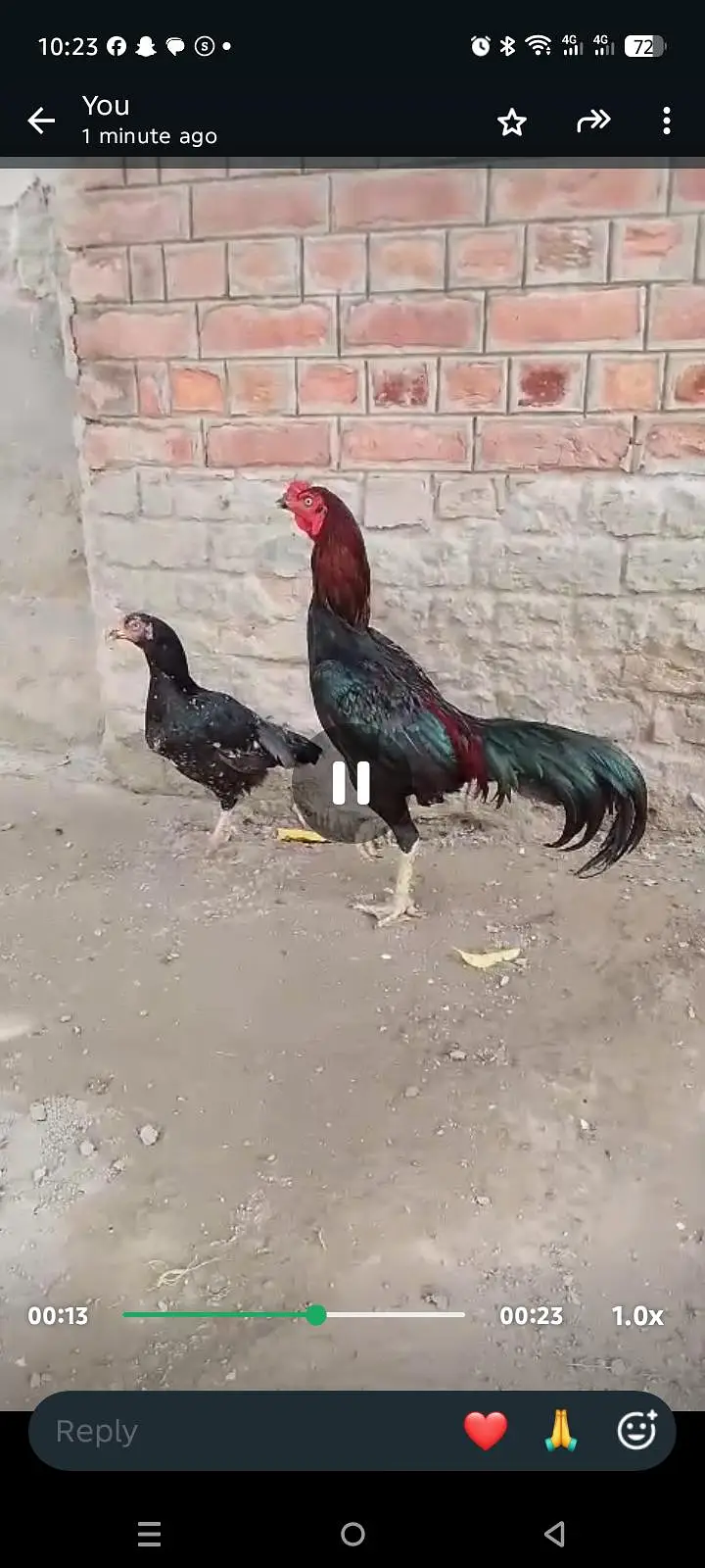 mashallah cheez apka samna han — photo 5