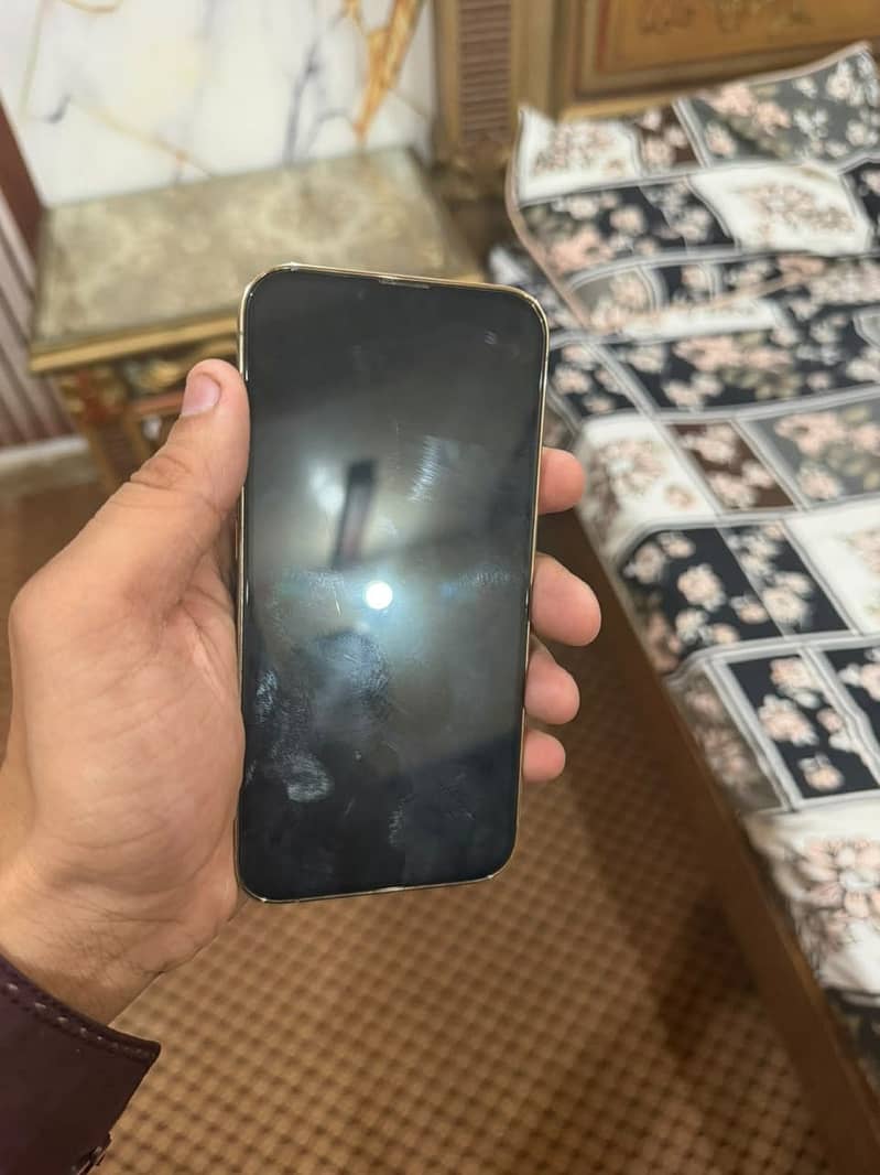 Apple iPhone 13 Pro 1