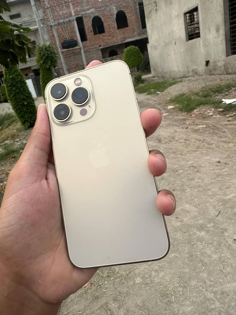 Apple iPhone 13 Pro 1