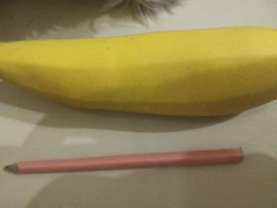 BEST PENCIL