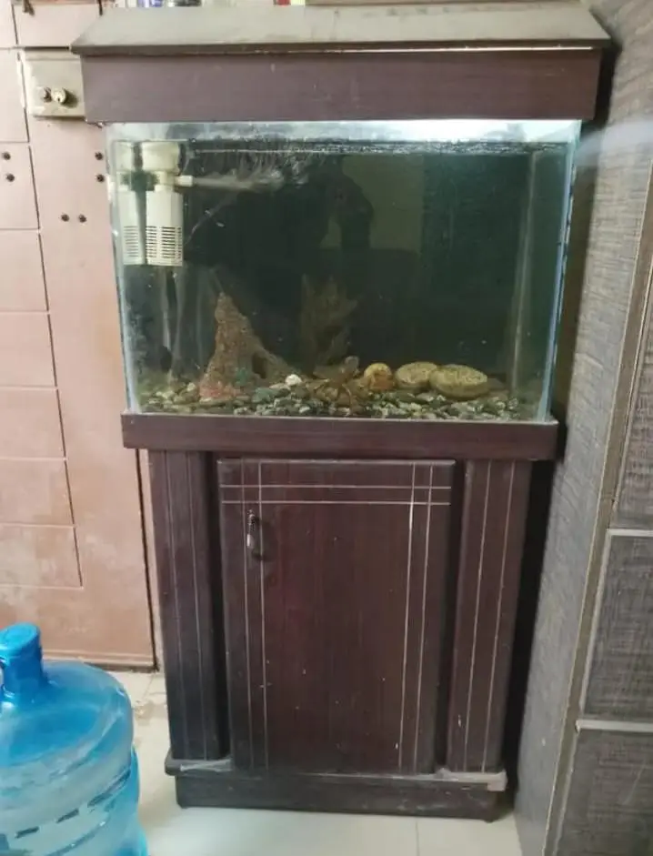 Fish Aquarium for sale