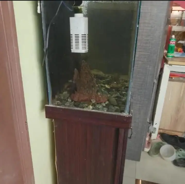 Fish Aquarium for sale — photo 2