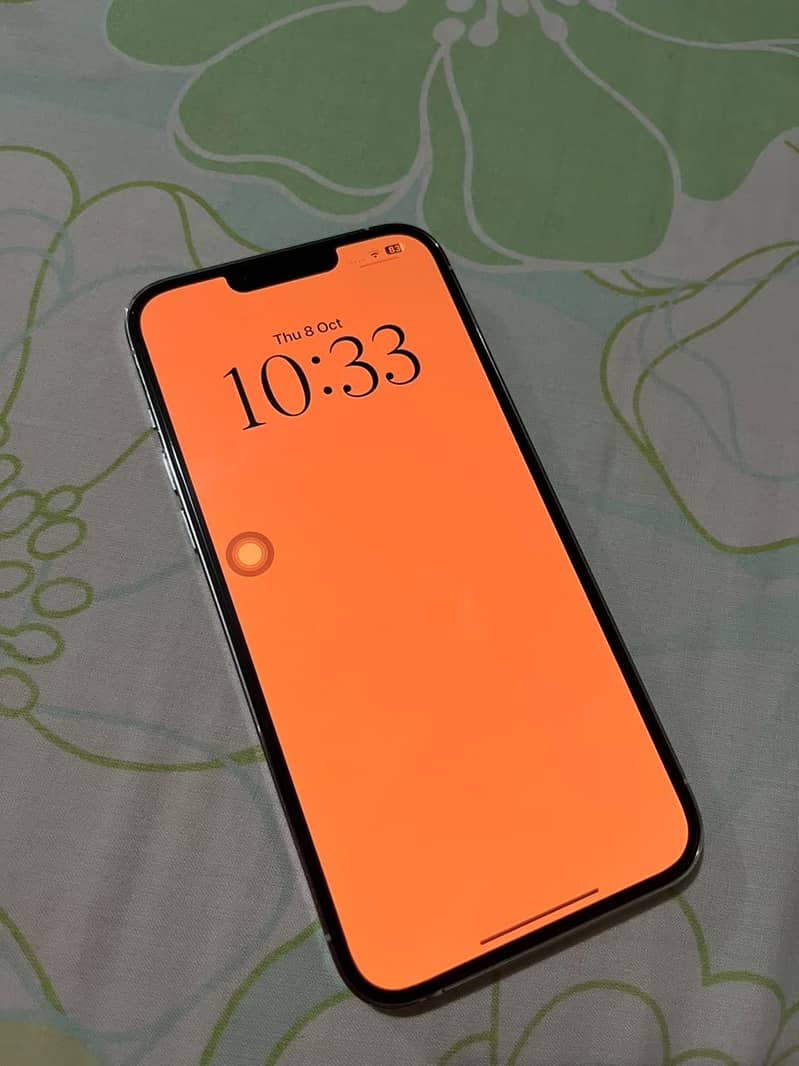 Apple iPhone 13 Pro Max 4
