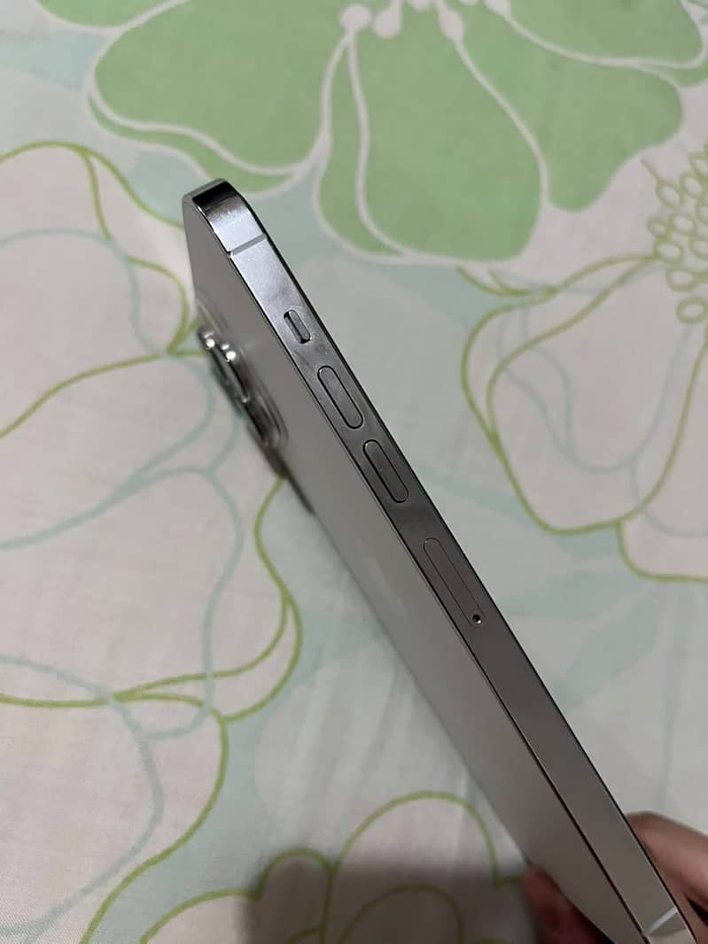 Apple iPhone 13 Pro Max 5