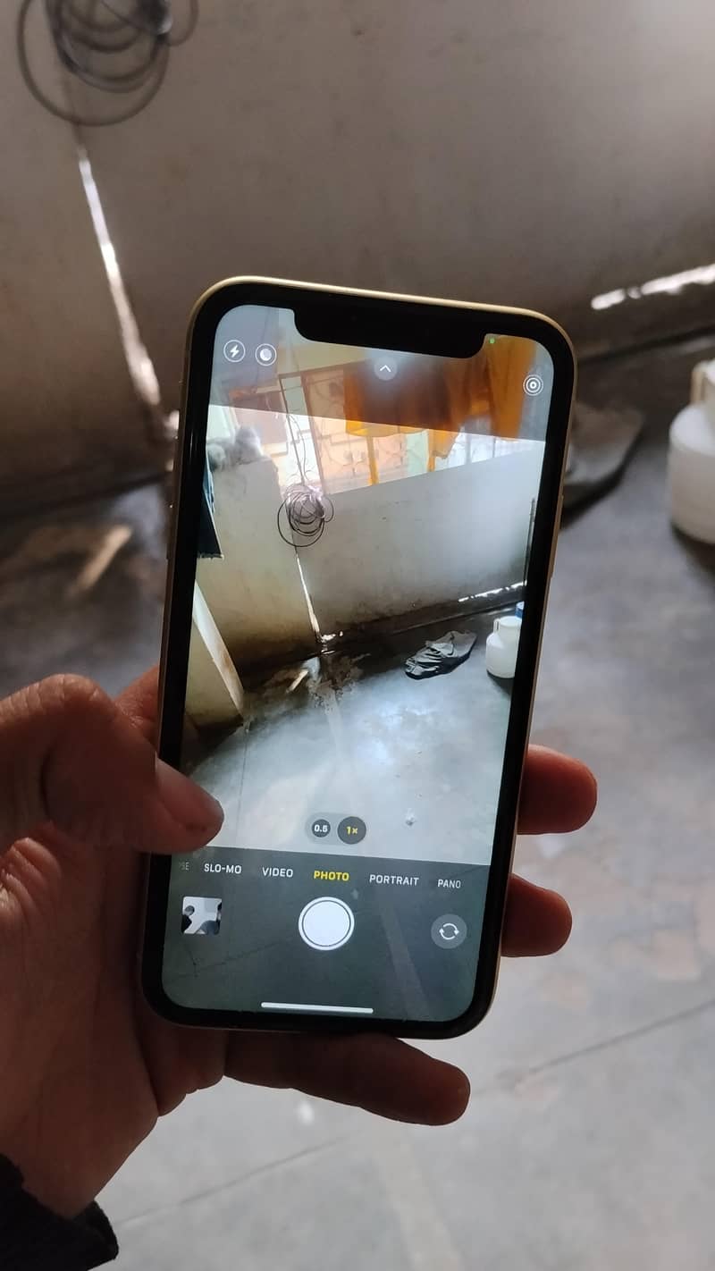 Apple iPhone 11 1