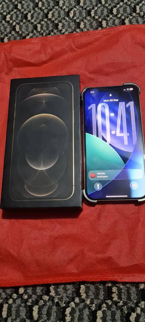 Apple iPhone 12 Pro Max 5