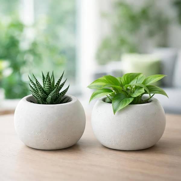 White Round Planter