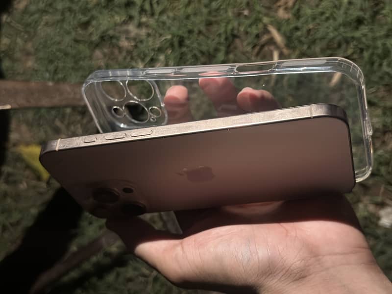 Apple iPhone 16 Pro Max 1