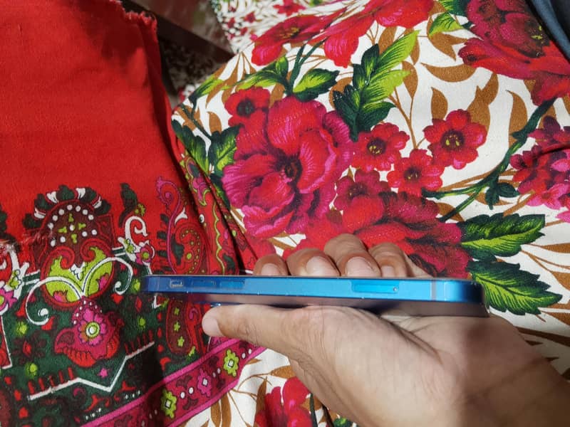 Apple iPhone 12 1