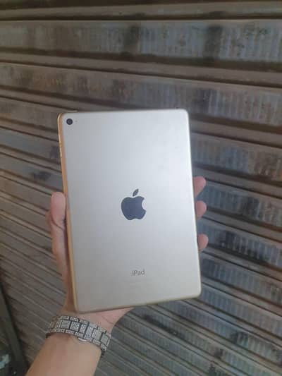 Ipad mini 4