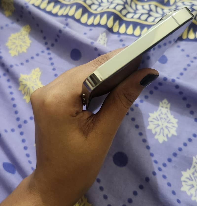Apple iPhone 13 Pro Max 1