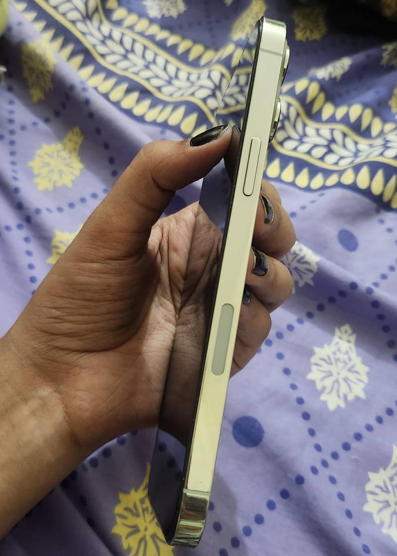 Apple iPhone 13 Pro Max 2