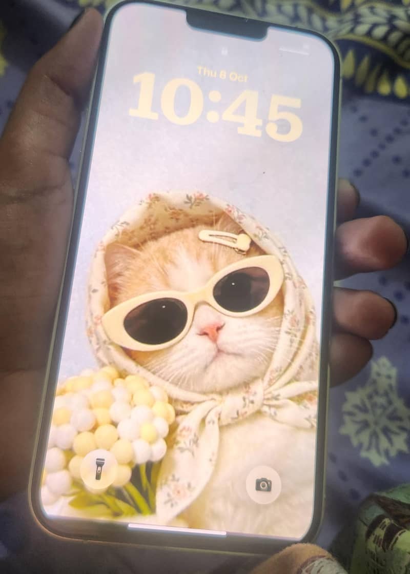 Apple iPhone 13 Pro Max 5