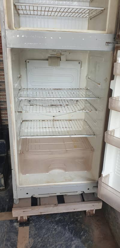 Fridge dawlance