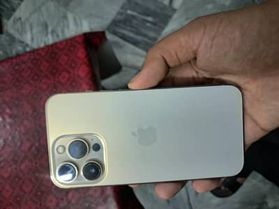 13pro golden Whatsapp 0300/1018281
