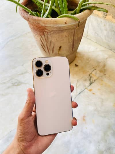 Apple iPhone 13 Pro Max