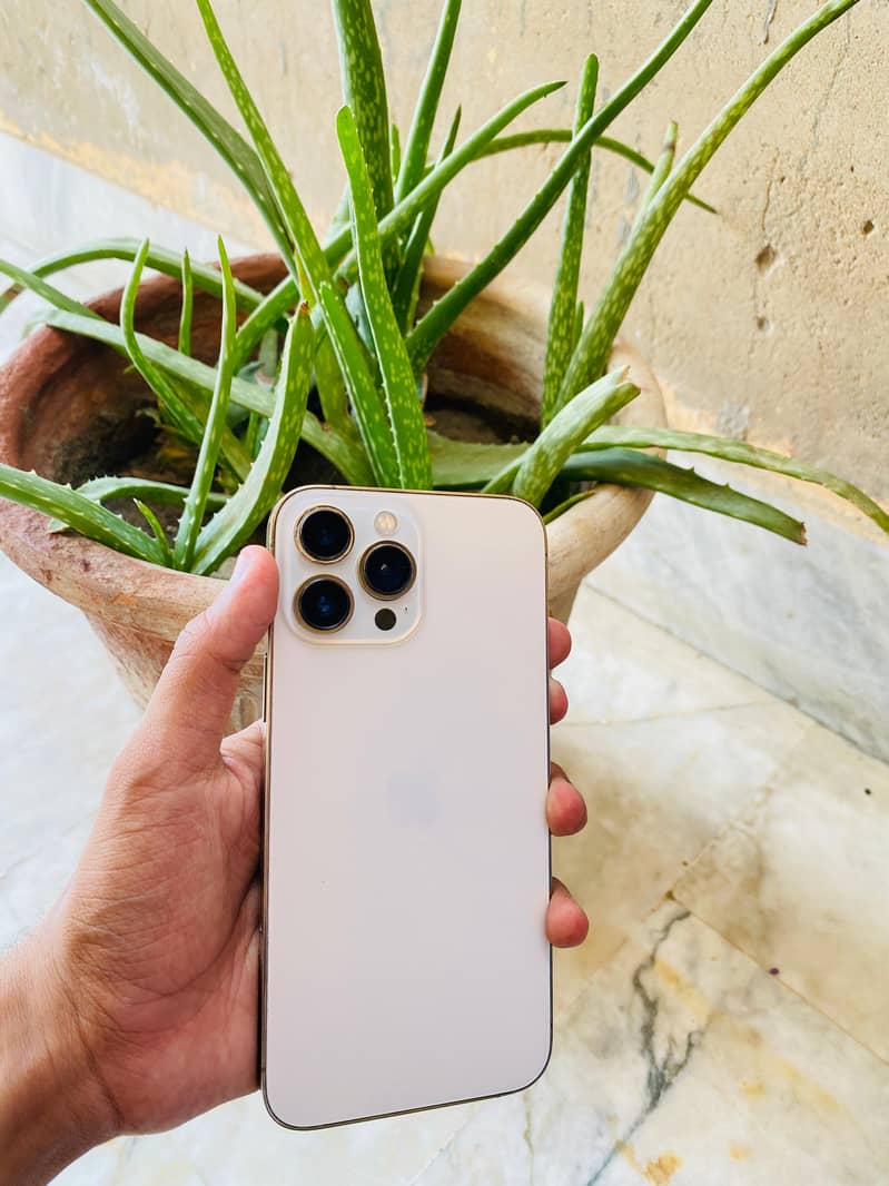Apple iPhone 13 Pro Max 1