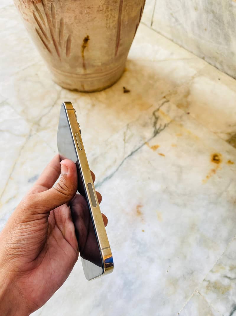 Apple iPhone 13 Pro Max 3