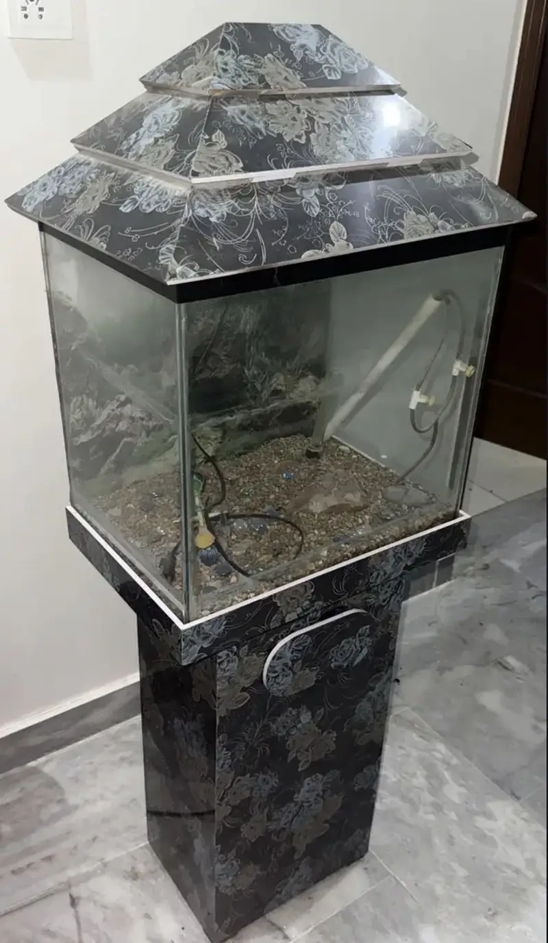 Fish tank for small fish