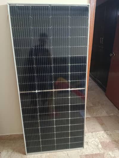 LONGI Bifacial Panel
