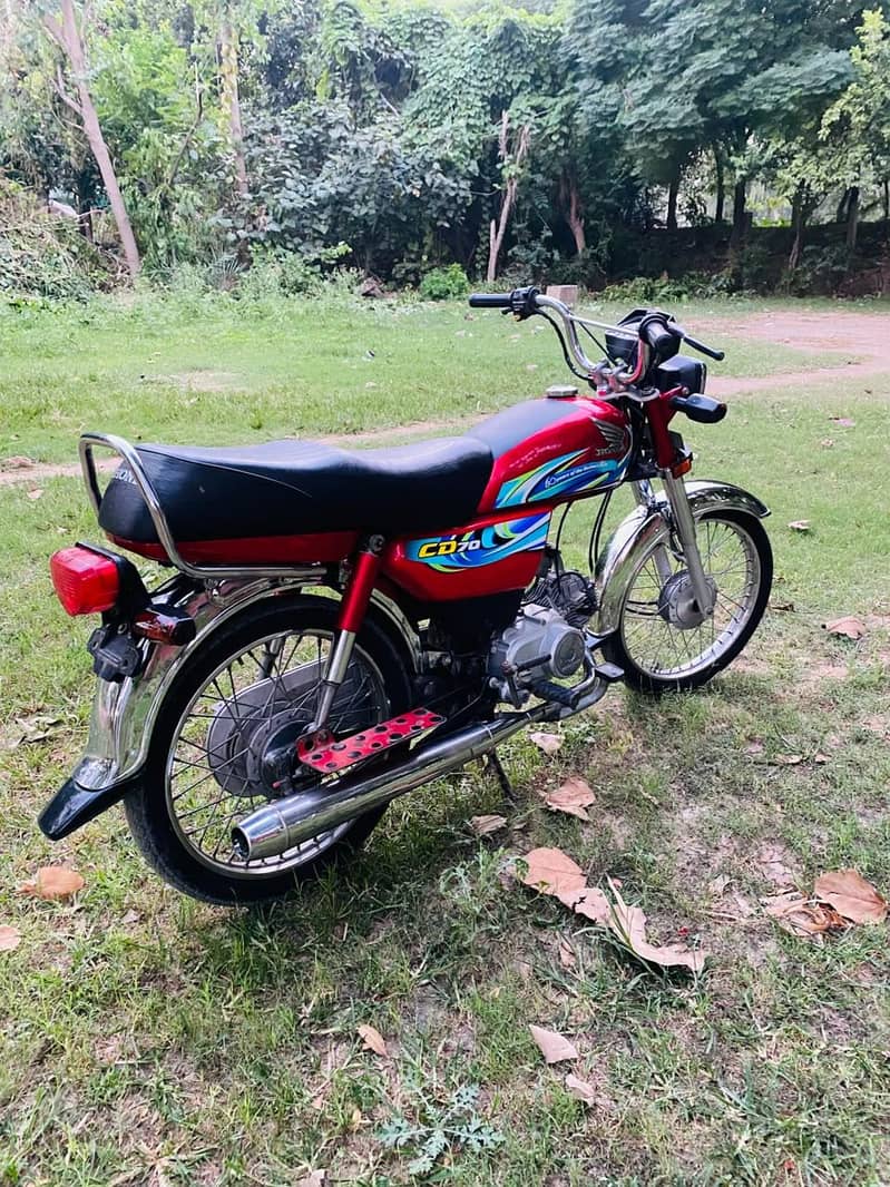 Lush condition 70cc 1