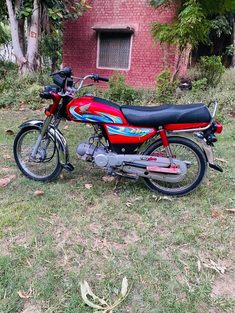 Lush condition 70cc 3