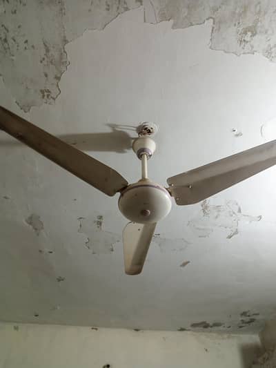 Time Star 100 % Copper Winding Fan