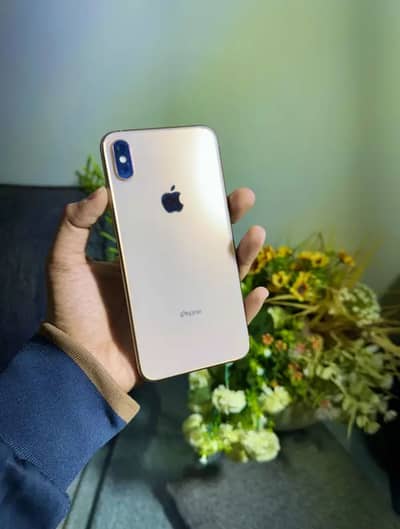 XS Max Dual Pta