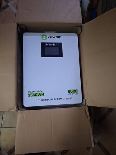 24 V Lithium Battery 2500 WH capacity (Ziewnic Li-Wall V2 25.6 V]