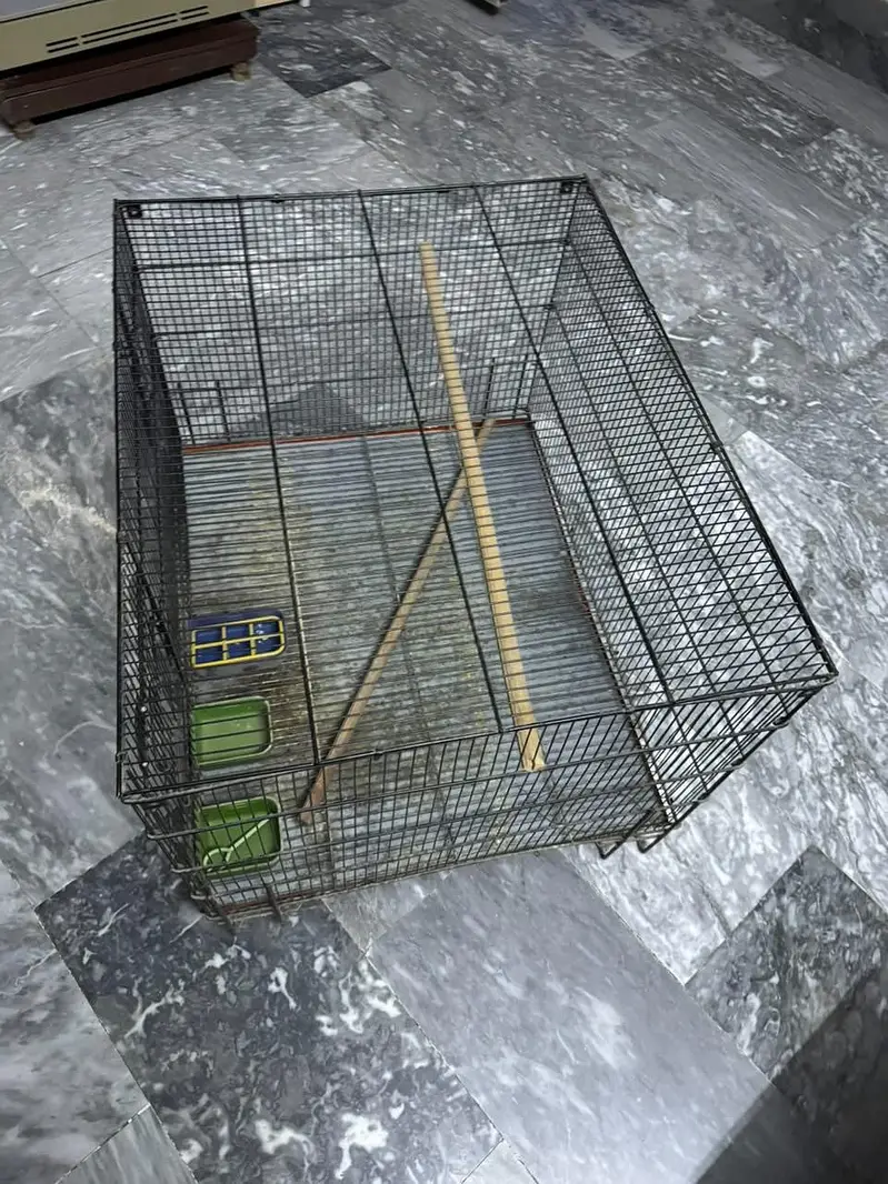 Birds Cage In Good Condition — photo 2