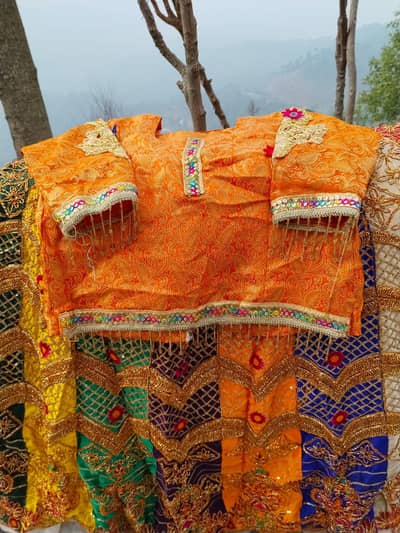 Beautiful Mehndi Lehnga – Embroidered Party Wear