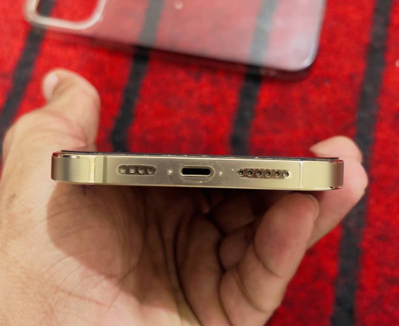 Apple iPhone 13 Pro Max 1