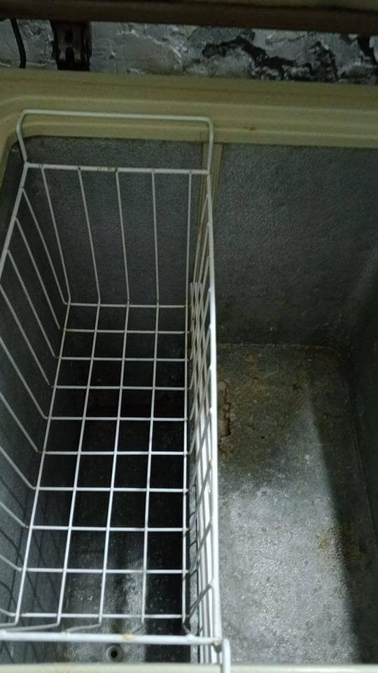 Dawlance Deep Freezer 4