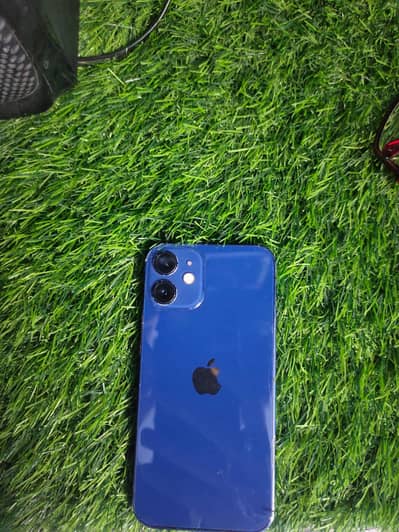 Apple iPhone 12 mini