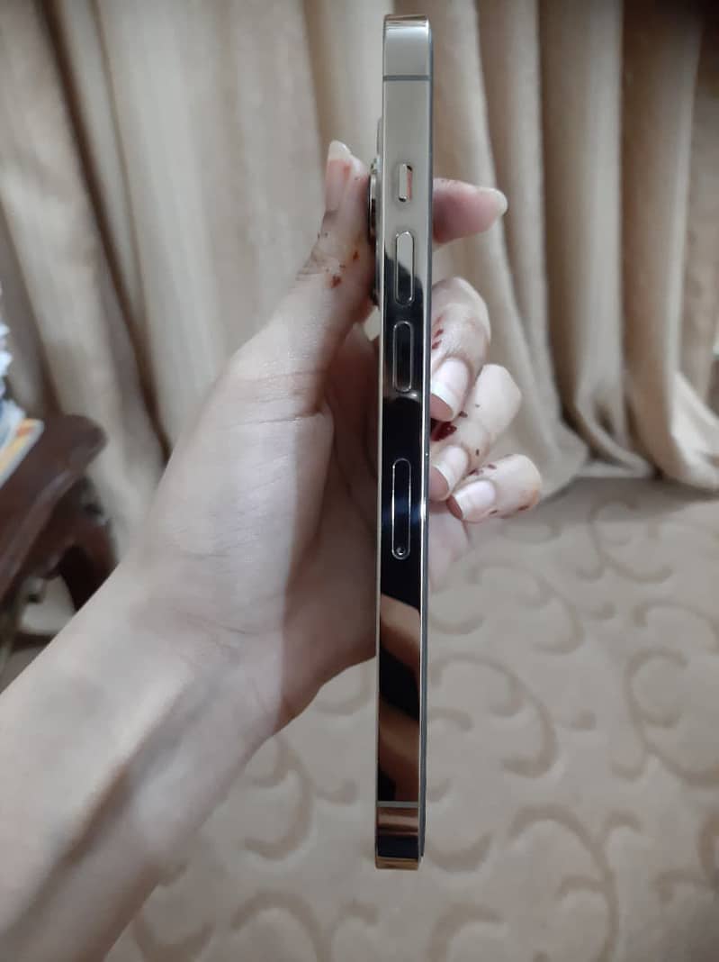 Apple iPhone 13 Pro 4
