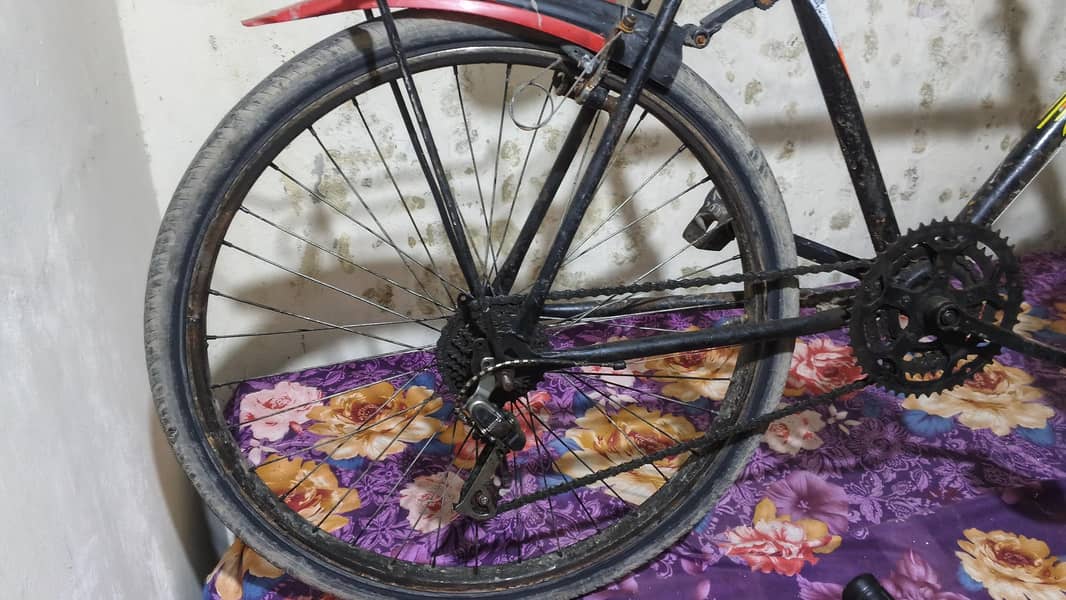 phonex cycles 3